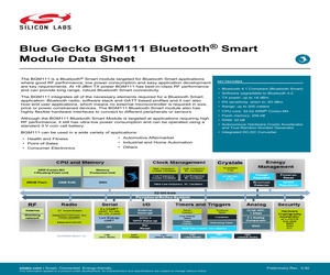 BGM111A256V1.pdf