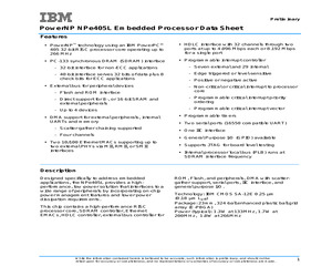 IBM25NPE405L-3FA133CZ.pdf