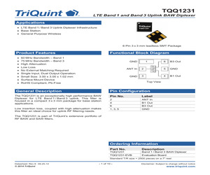 TQQ1231.pdf