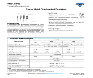 PR0200Z101000JB100.pdf