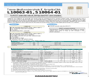 S10064-01.pdf