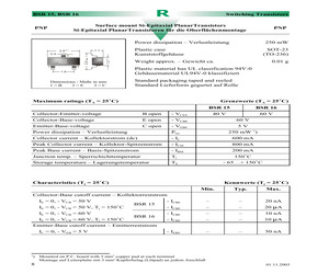 BSR15.pdf