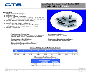 753241103FPTR13.pdf