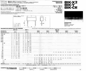 BIK-CR100101000.pdf