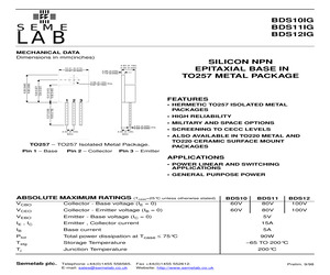 BDS12IG.pdf