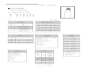 CC40805B223S101F1.pdf