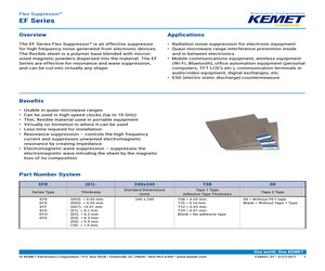 EFG(02)-240X240T0800.pdf