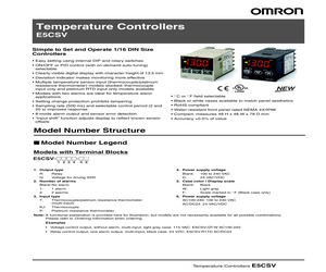 E5CSV-Q1KJ-W-AC100-240.pdf