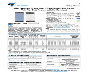 P0603Y1003BNW.pdf