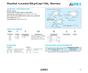 SL152A100DAB.pdf