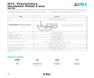NM06F00100K.pdf