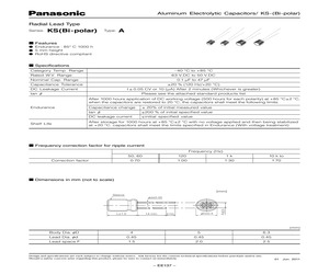 ECEA1ASN100(B).pdf