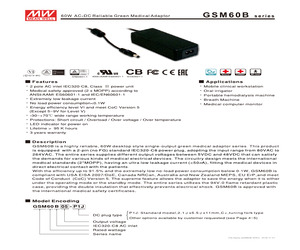 GSM60B12-P1J.pdf