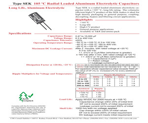 SEK100M063ST.pdf