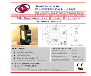 C25A1P-80VDC.pdf