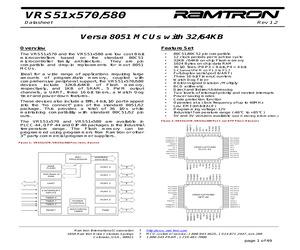 VRS51L580-25-L.pdf