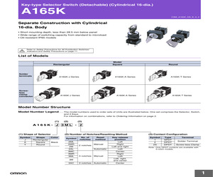 A165KT3M2.pdf