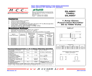 DL4001-TP.pdf