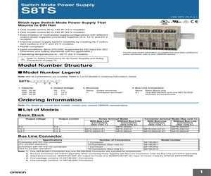 S8TS06024FE1.pdf