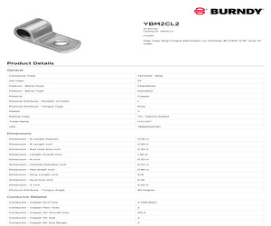 YBM2CL2.pdf