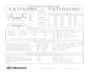 FST153100.pdf