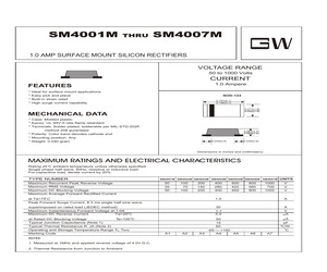 SM4004M.pdf