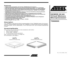 TS68020DESC03YC.pdf