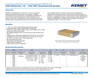 COP432CN.pdf