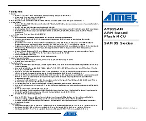 ATSAM3S2BA-AU.pdf