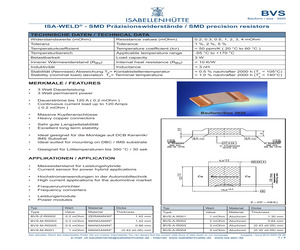 BVS-A-R001-1.0.pdf