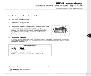 FML18A298T000.pdf