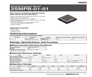 2SMPB-01-01.pdf