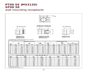 PT00SE-18-30SY.pdf