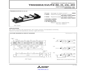 TM200PZ-2H.pdf