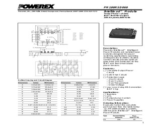 PM100RSD060.pdf