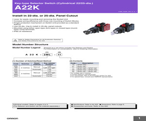 A22K-3ML-11.pdf