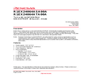 R1EX24064ASA00A.pdf