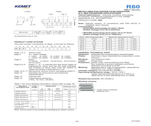 R60DR5100AA30K.pdf