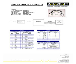 SKIT-NL8048BC19-02C-DV.pdf