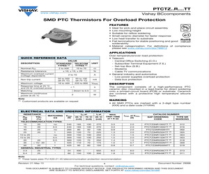 PTCTZ3NR339CTT.pdf