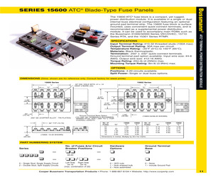 15600-10-21.pdf