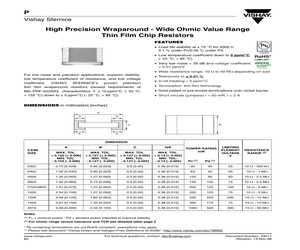 P0805E100JN.pdf