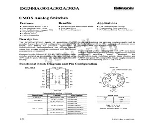 DG300AAP/883.pdf