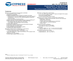 CYAT81688-100AS61ZT.pdf