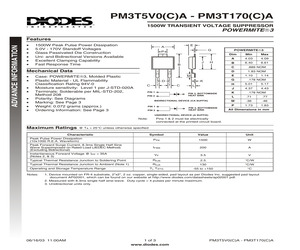PM3T36A-13.pdf