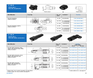 C01610E0170021.pdf