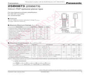 2SB08730R.pdf