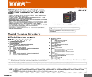 E5ER-QT3DW-FLK AC/DC24.pdf