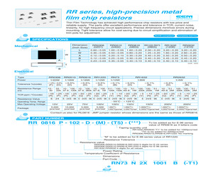 RN73N2X1002B-T1.pdf