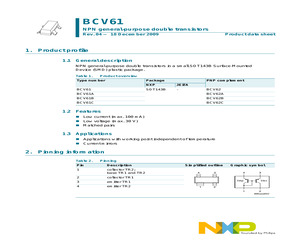BCV61B.pdf